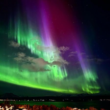 Cosy 2-Rooms Apartment In The City Center Tromso Luaran gambar
